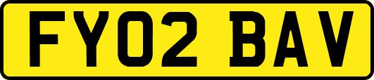FY02BAV