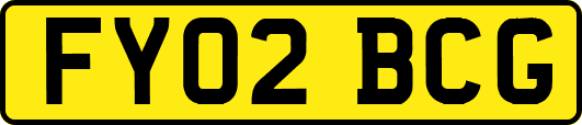 FY02BCG