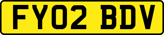 FY02BDV