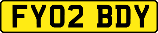 FY02BDY