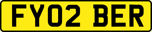 FY02BER