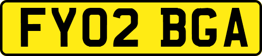 FY02BGA