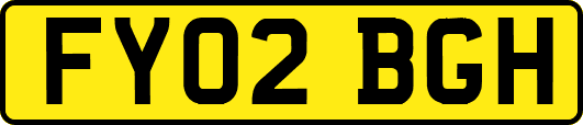 FY02BGH
