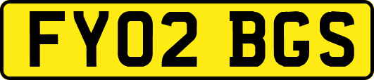 FY02BGS