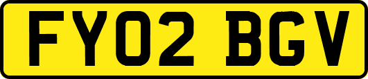 FY02BGV