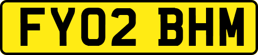 FY02BHM