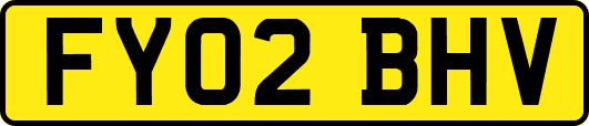 FY02BHV