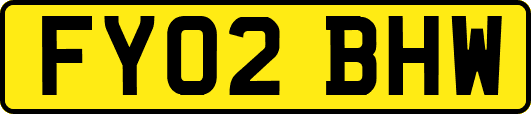 FY02BHW
