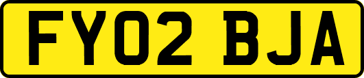 FY02BJA