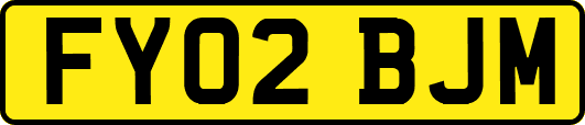 FY02BJM