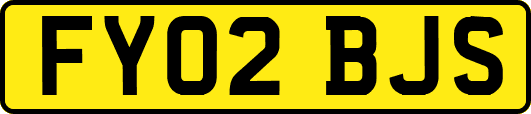 FY02BJS
