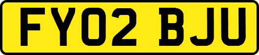 FY02BJU