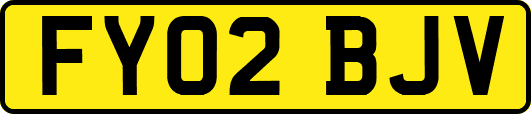 FY02BJV