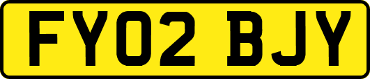 FY02BJY