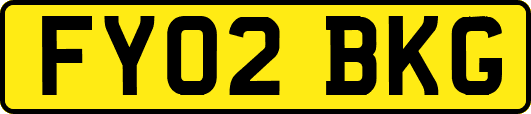 FY02BKG