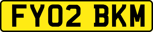 FY02BKM