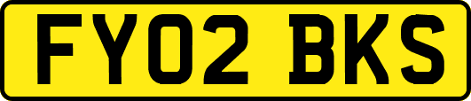FY02BKS