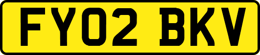 FY02BKV