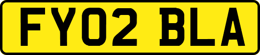 FY02BLA