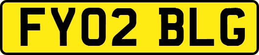 FY02BLG