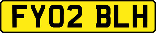 FY02BLH