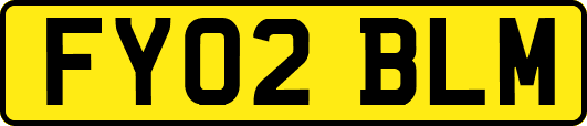 FY02BLM