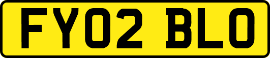 FY02BLO