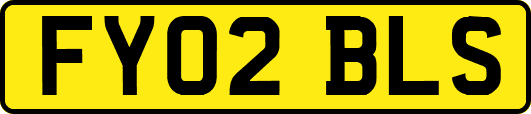 FY02BLS