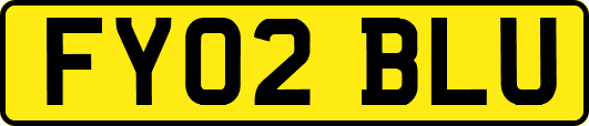 FY02BLU