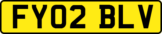 FY02BLV