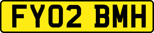 FY02BMH