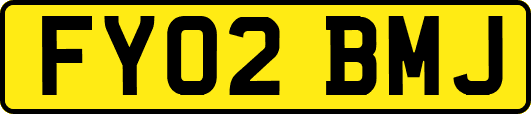 FY02BMJ