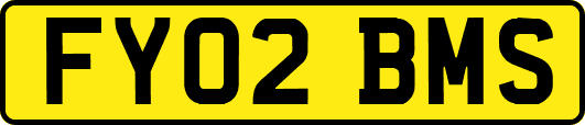 FY02BMS