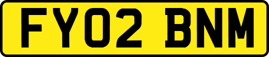 FY02BNM