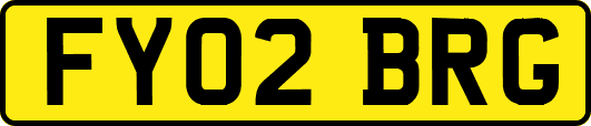 FY02BRG