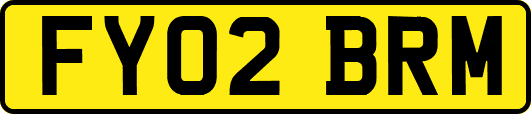 FY02BRM