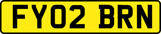 FY02BRN