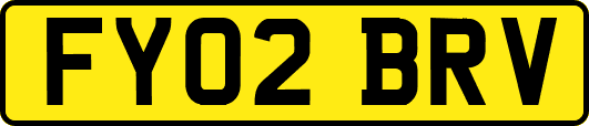 FY02BRV
