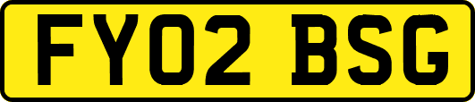 FY02BSG