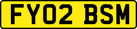 FY02BSM