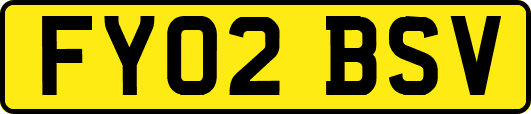 FY02BSV