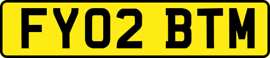FY02BTM