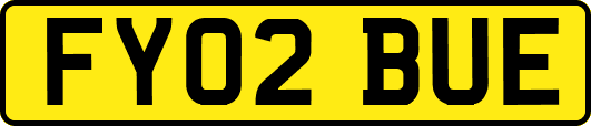 FY02BUE