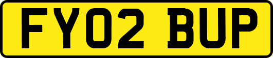FY02BUP