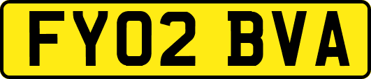 FY02BVA