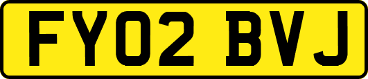 FY02BVJ
