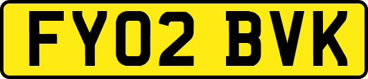 FY02BVK