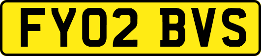 FY02BVS