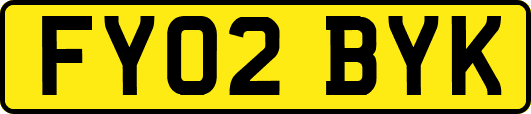 FY02BYK