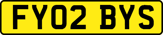FY02BYS